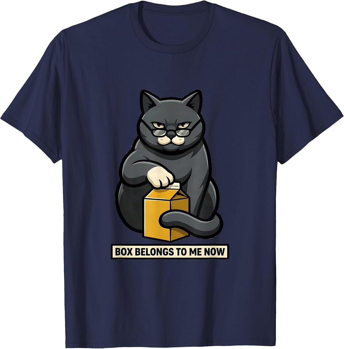 Box Belongs To Me Now Funny Science Cat Owner Quantum T-Shirt - Navy Blue