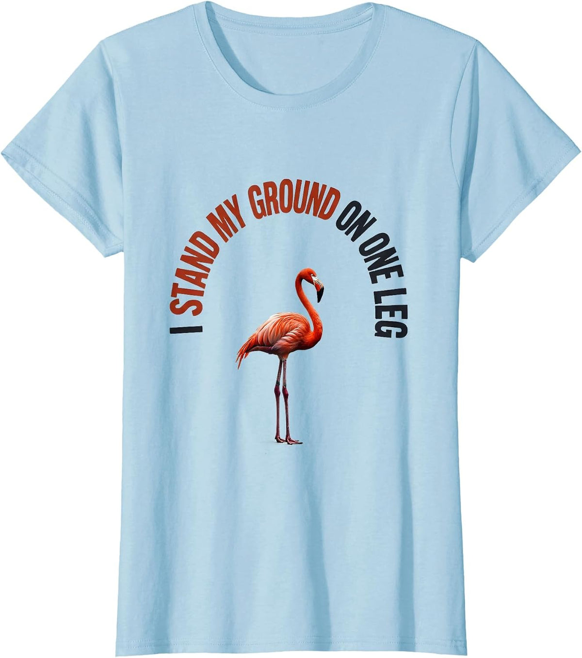 I Stand My Ground On One Leg Funny Flamingo Lover Novelty T-Shirt - Baby Blue