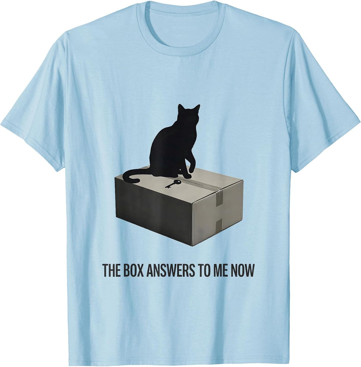 Men's The Box Answers To Me Now Funny Quantum Physics Cat Lover T-Shirt - Baby Blue