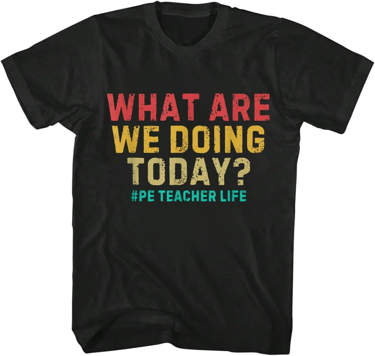 What are We Doing Today PE Teacher Life Funny T-Shirt - As Pictured