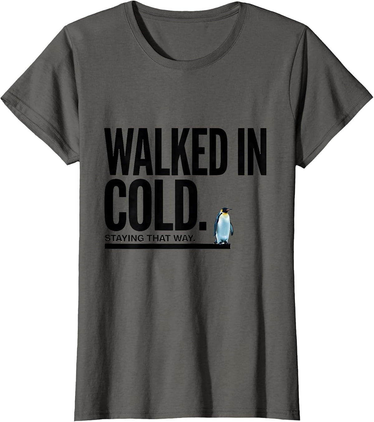Women's Walked In Cold Staying That Way Funny Penguin Lover Humor T-Shirt - Asphalt Grey