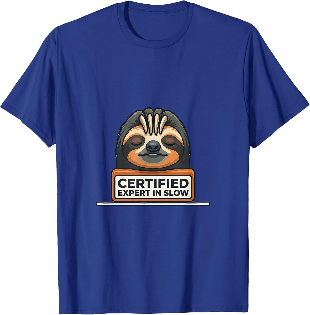 Certified Expert In Slow Funny Sloth Humor Gift T-Shirt - Royal Blue