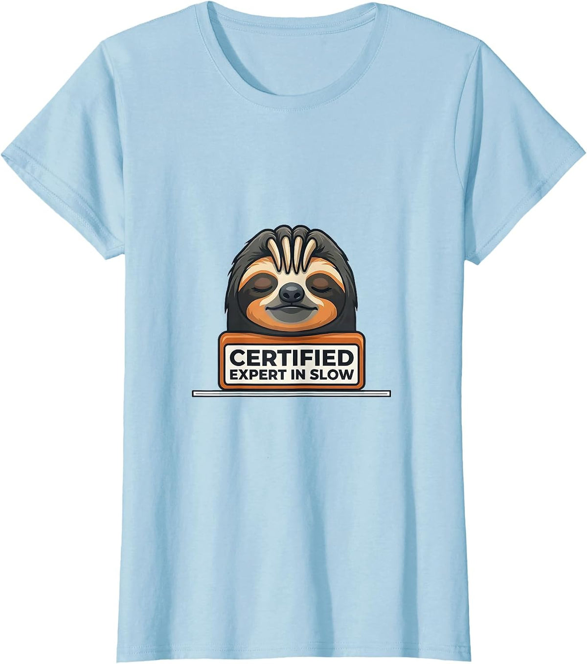 Certified Expert In Slow Funny Sloth Humor Gift T-Shirt - Baby Blue