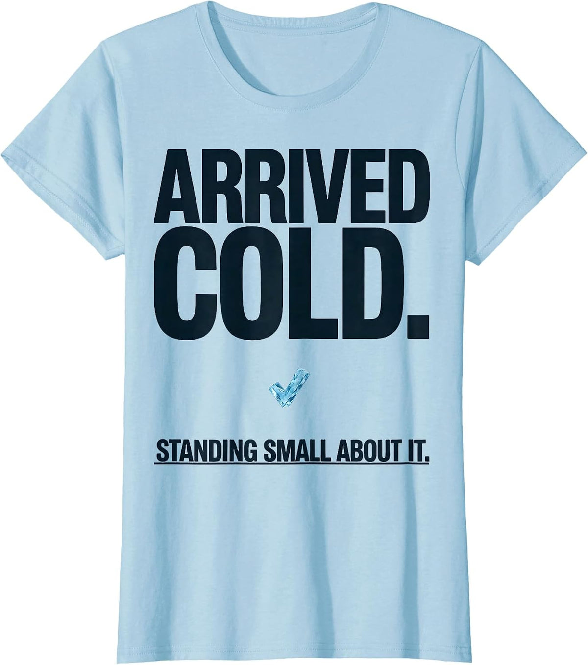 Women's Arrived Cold Standing Small About It Funny Penguin Lover T-Shirt - Baby Blue