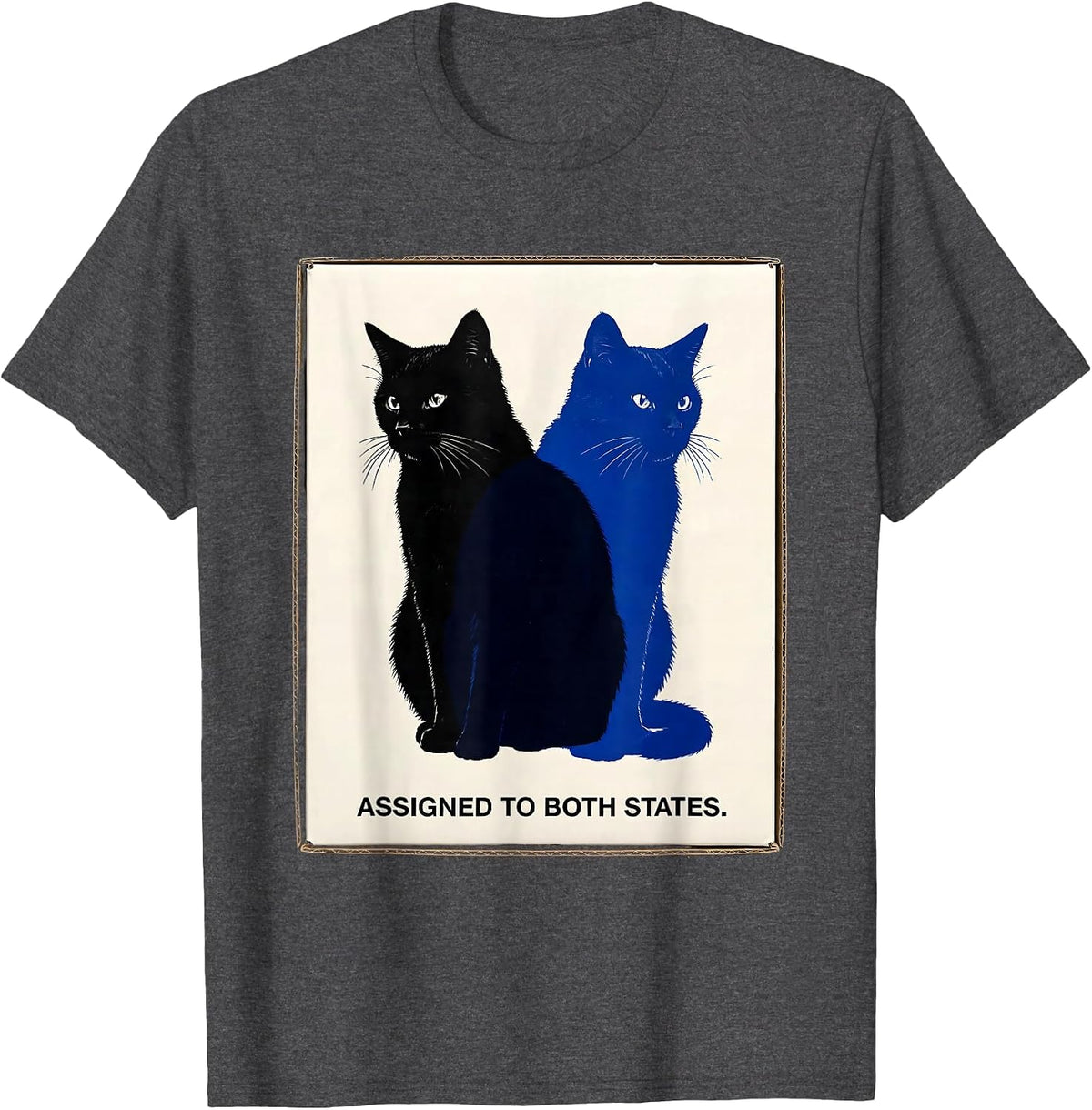 Assigned To Both States Quantum Physics Cat Nerd Humor T-Shirt - Dark Heather Grey