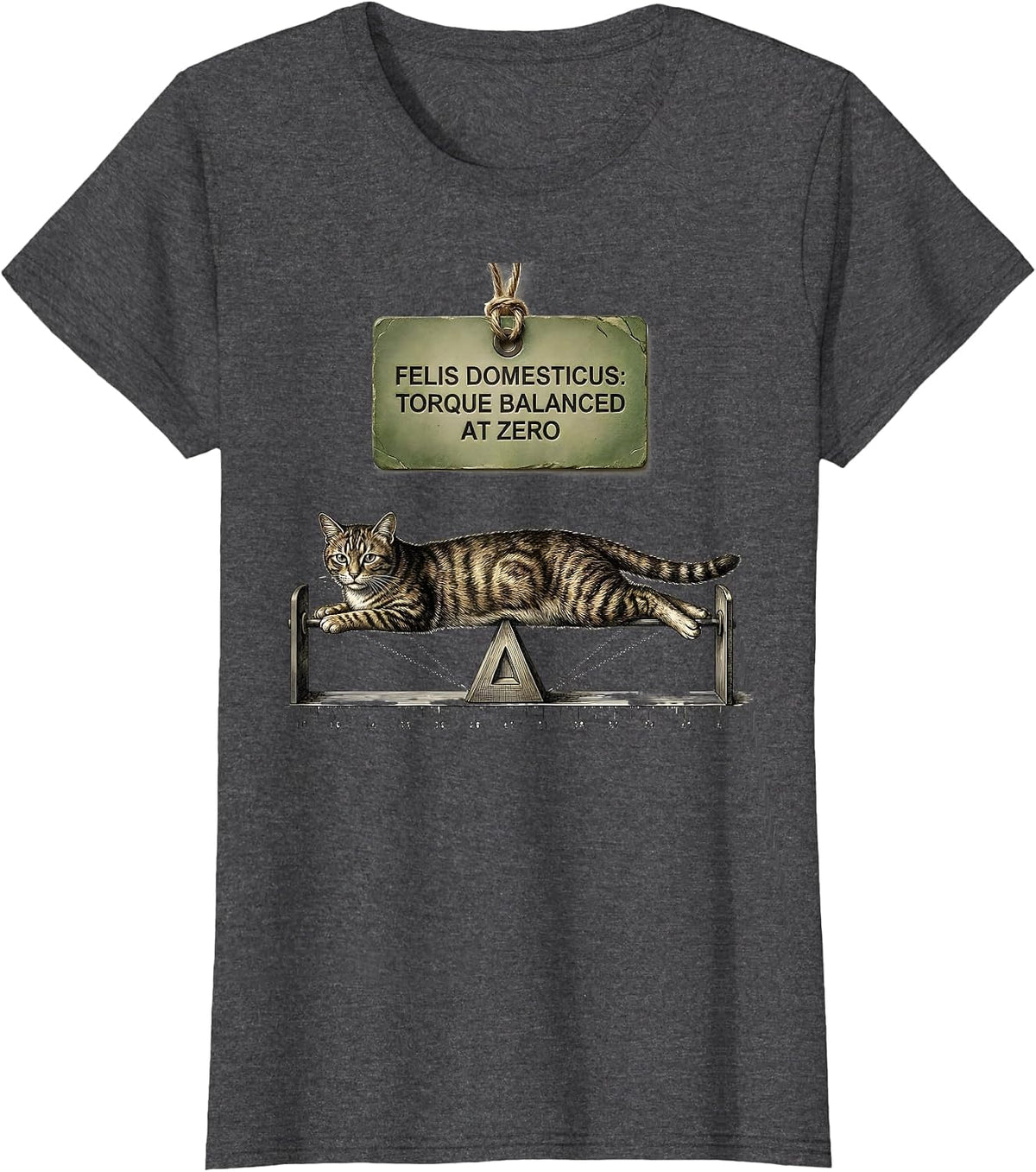 Women's Felis Domesticus: Torque Balanced At Zero Math Teacher T-Shirt - Dark Heather Grey