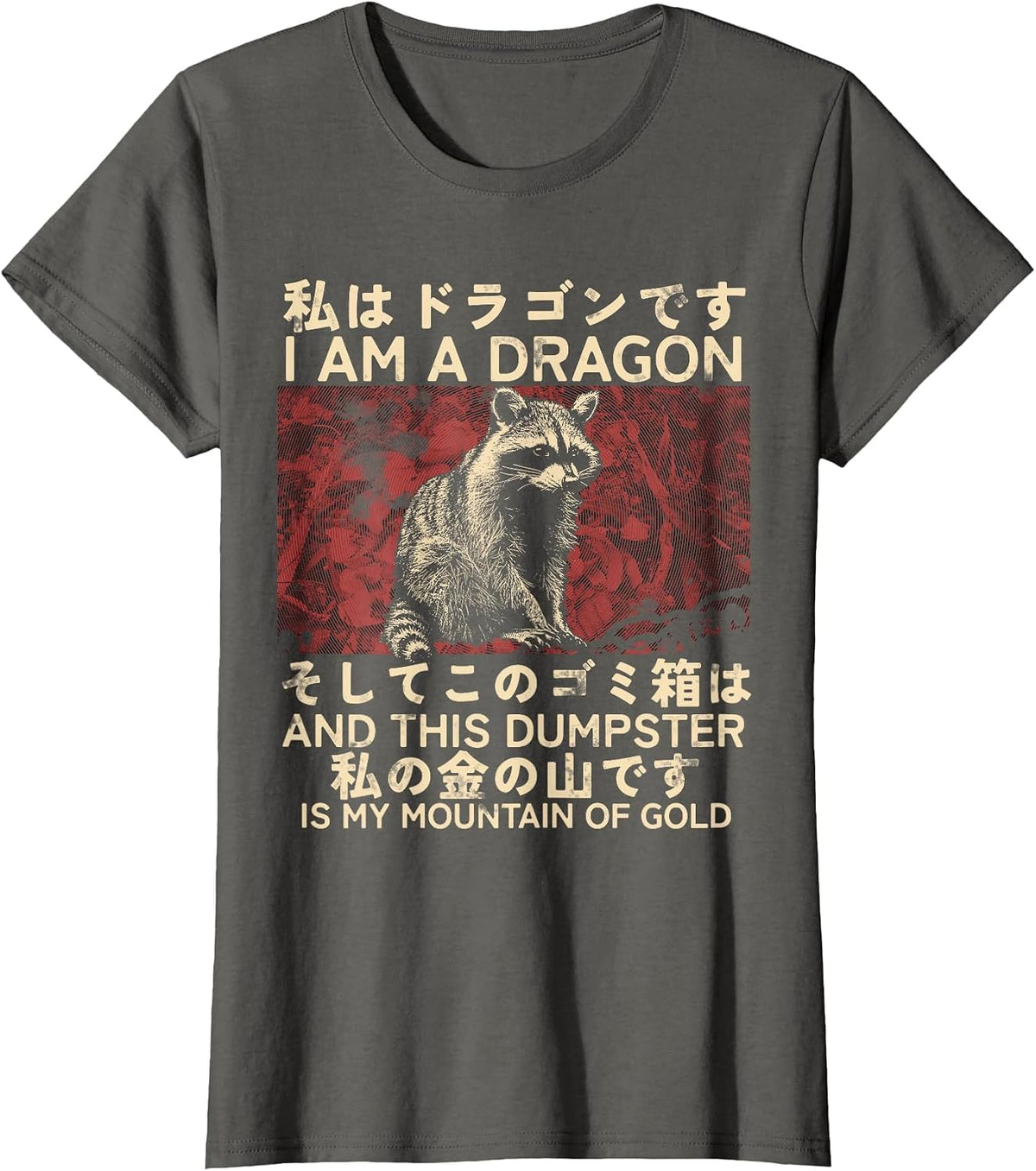 I Am A Dragon and This Dumpster is My Mountain of Gold T-Shirt - Asphalt Grey