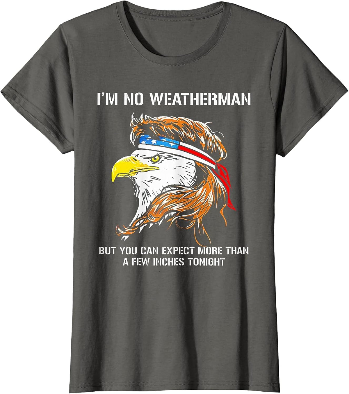 I'm No Weatherman But You Can Expect Eagle T-Shirt - Asphalt Grey