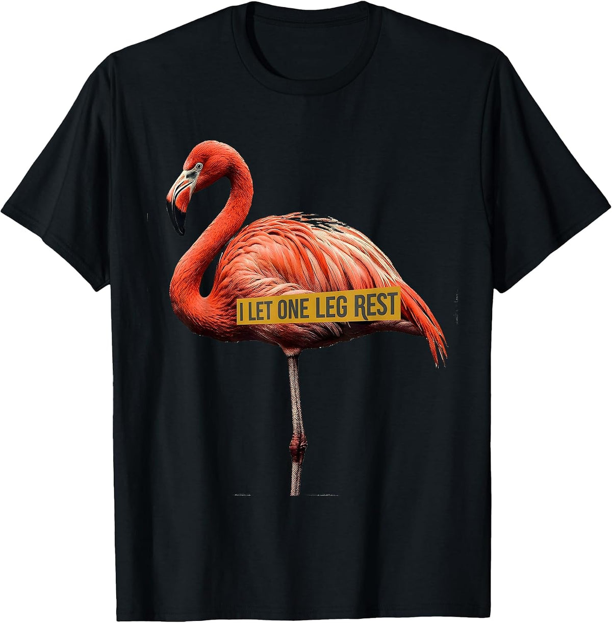 Men's I Let One Leg Rest Funny Flamingo Animal Humor Retro T-Shirt - Black