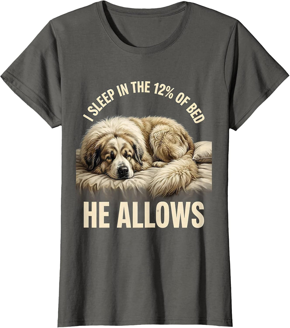 Women's I Sleep In The 12% Of Bed He Allows Funny Great Pyrenees Dog T-Shirt - Asphalt Grey
