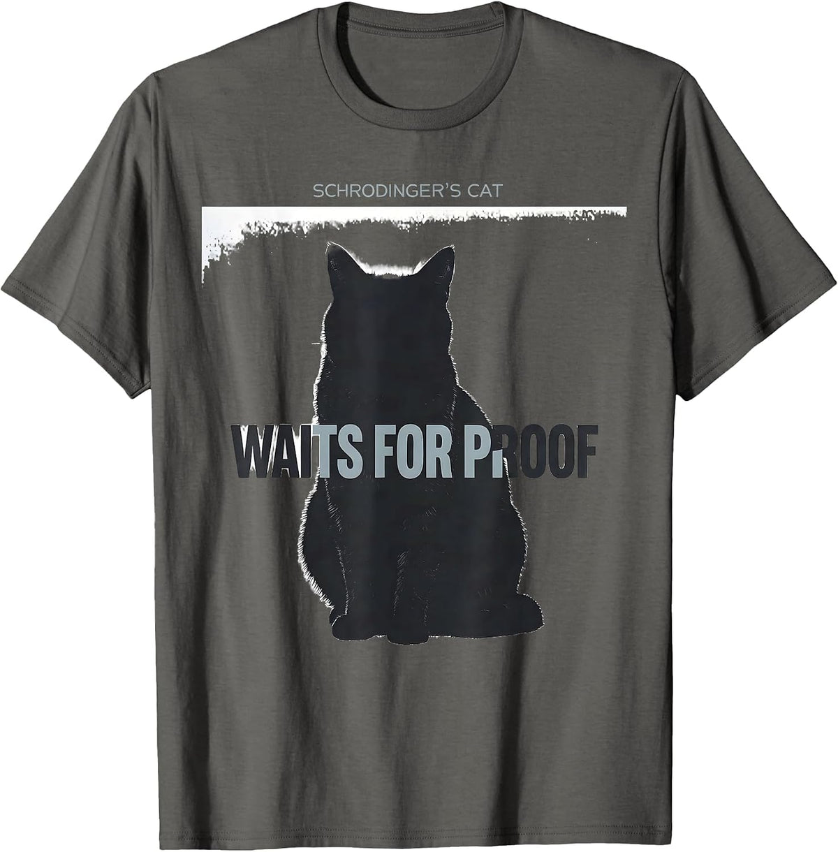 Schrodinger's Cat Waits For Proof Funny Quantum Physics T-Shirt - Asphalt Grey