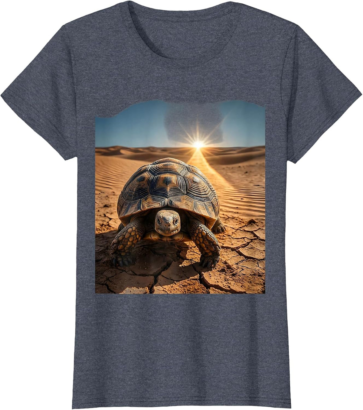 Women's Faith Over Fear Desert Turtle Graphic Tee T-Shirt - Heather Blue
