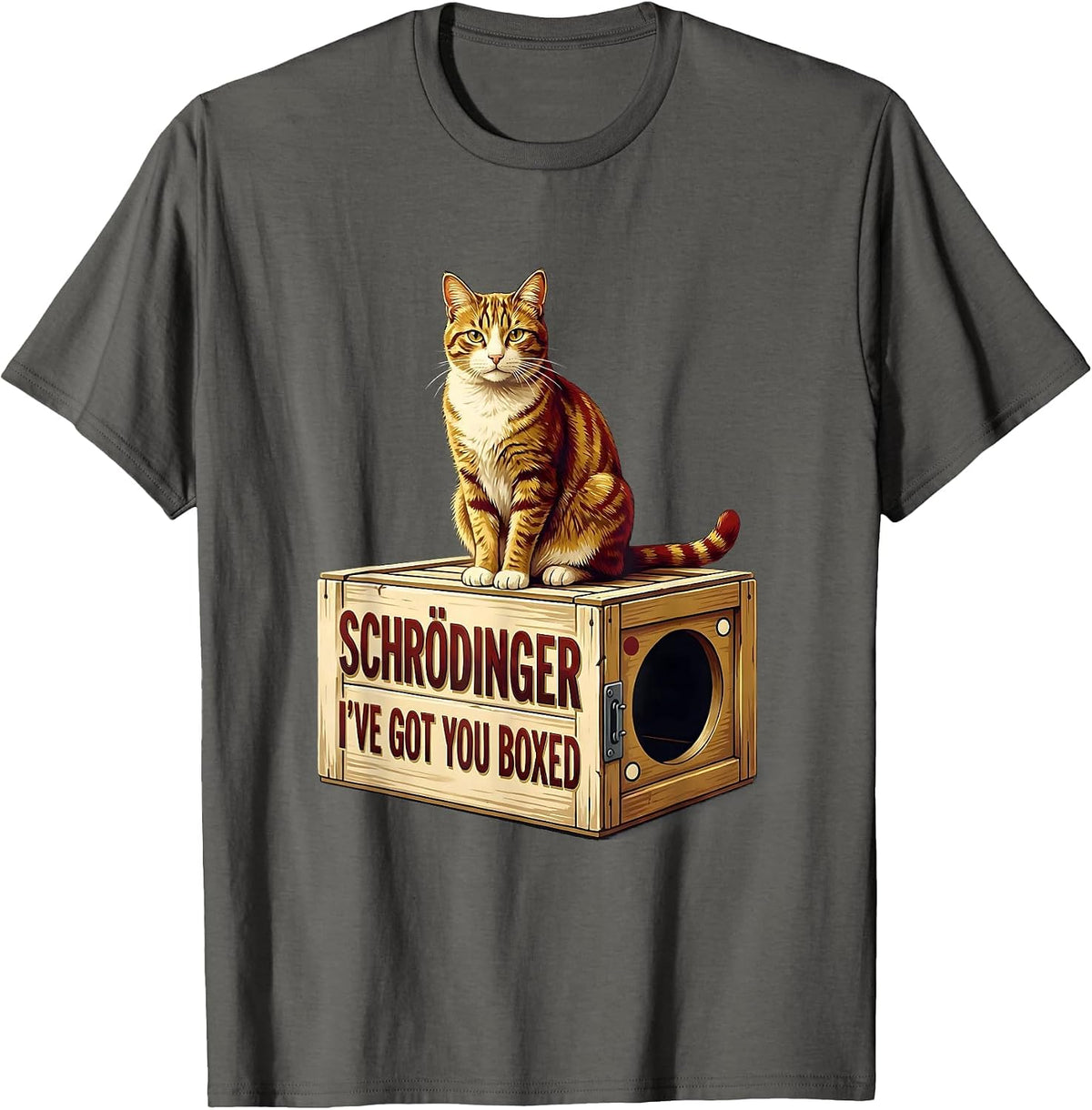Men's Schrödinger, I’ve Got You Boxed Funny Quantum Physics Cat T-Shirt - Asphalt Grey