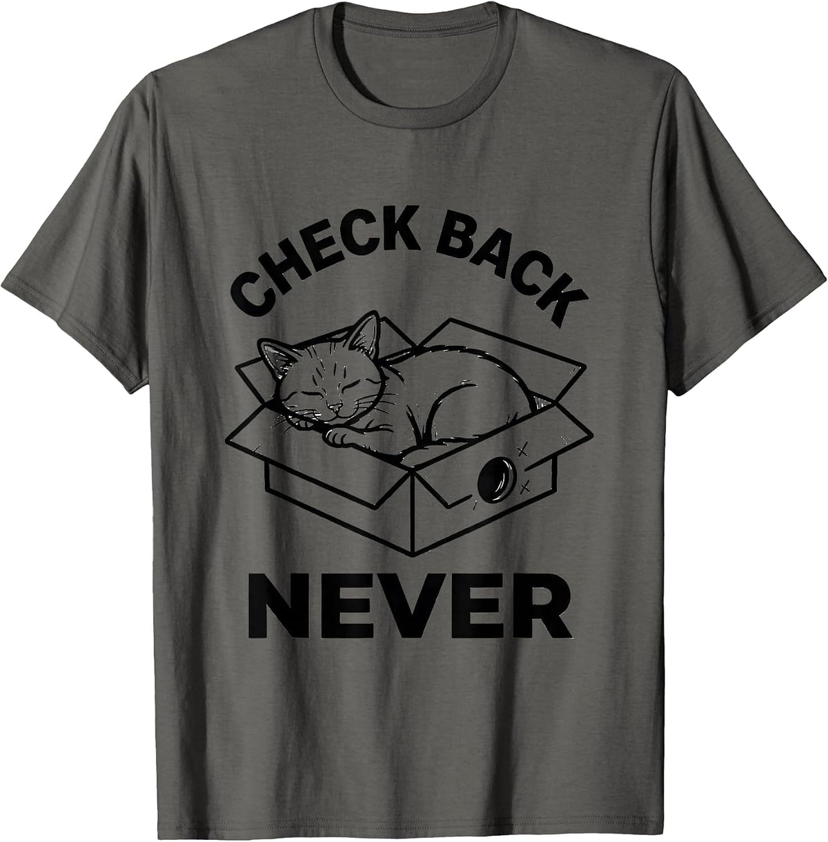 Check Back Never Funny Schrodinger's Cat Quantum Physics T-Shirt - Asphalt Grey