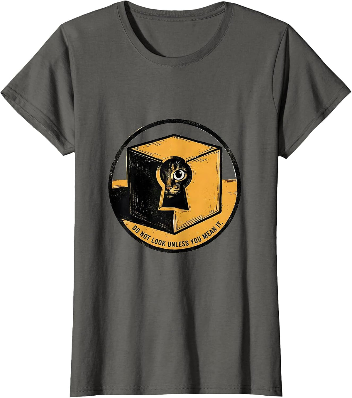 Women's Do Not Look Unless You Mean It Physics Nerd Humor T-Shirt - Asphalt Grey