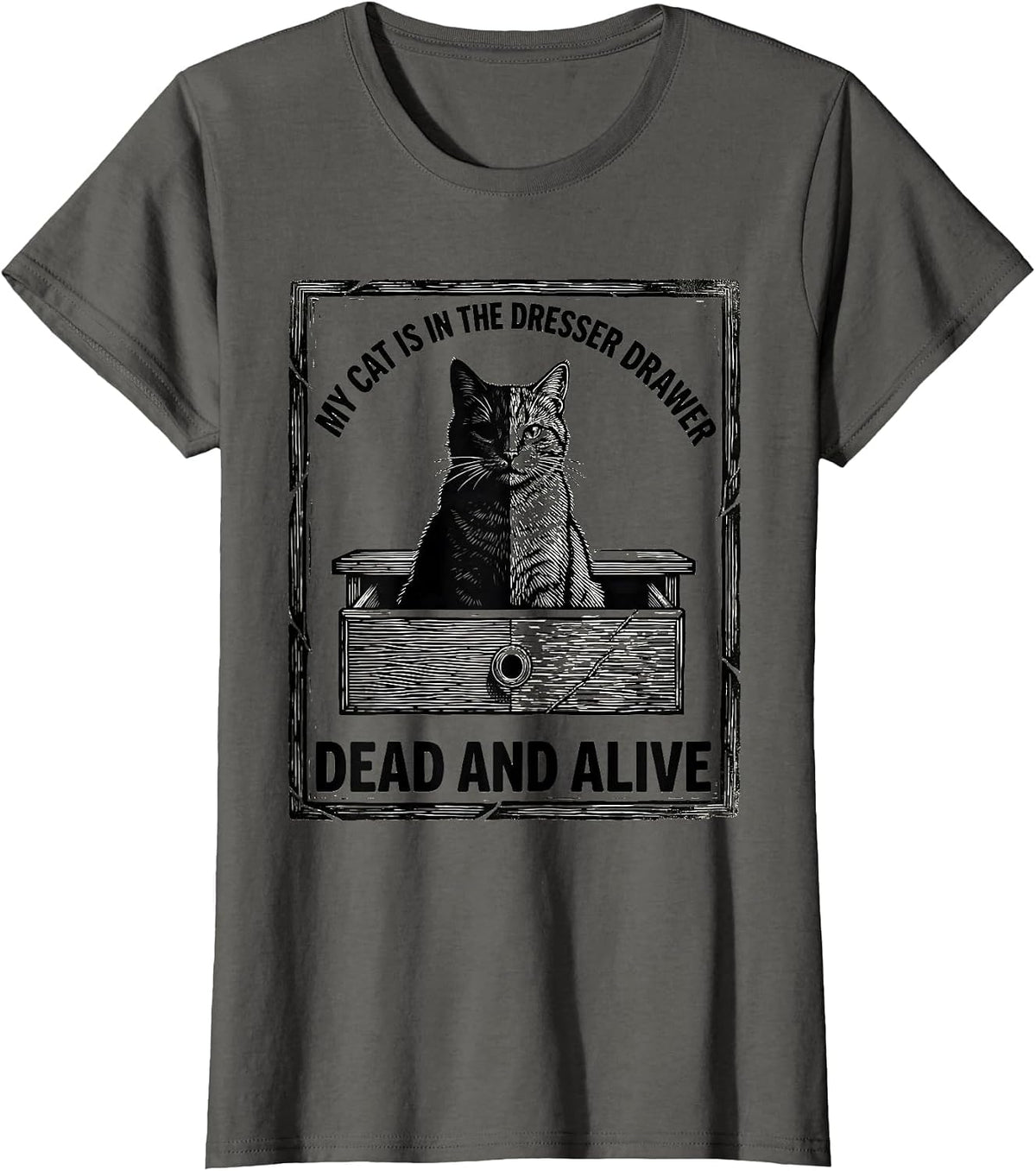 Women's My Cat Is In The Dresser Drawer, Dead And Alive Physics T-Shirt - Asphalt Grey