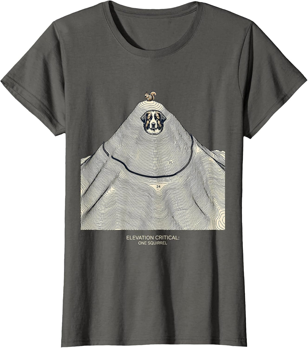 Women's Elevation Critical: One Squirrel Great Pyrenees Dog Owner T-Shirt - Asphalt Grey