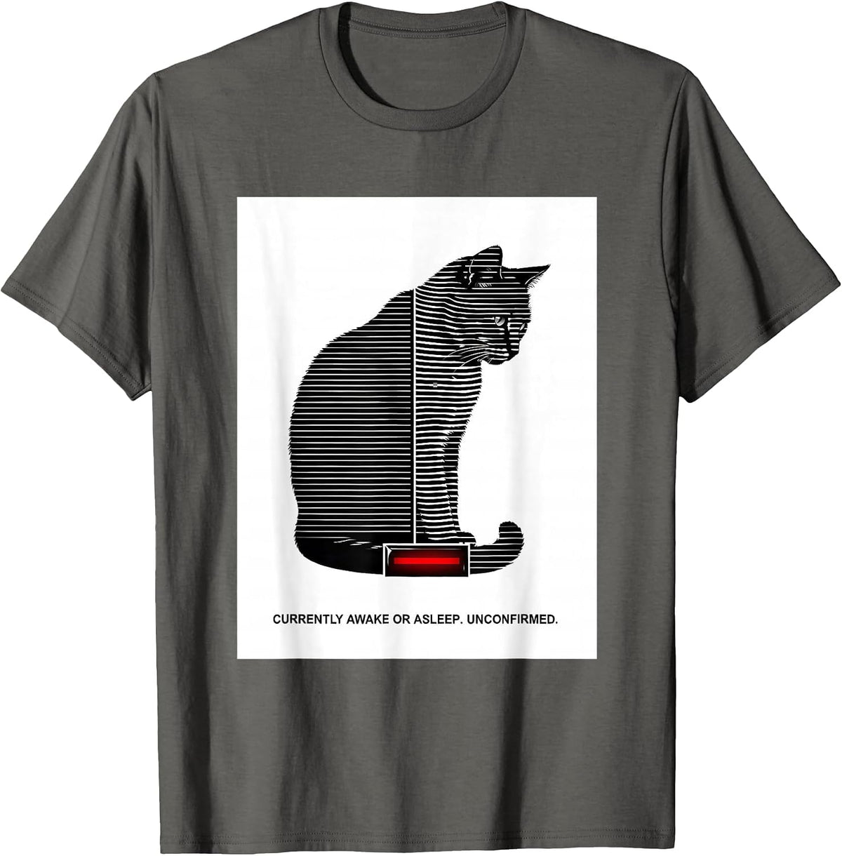Men's Currently Awake Or Asleep Unconfirmed Quantum Physics Humor T-Shirt - Asphalt Grey