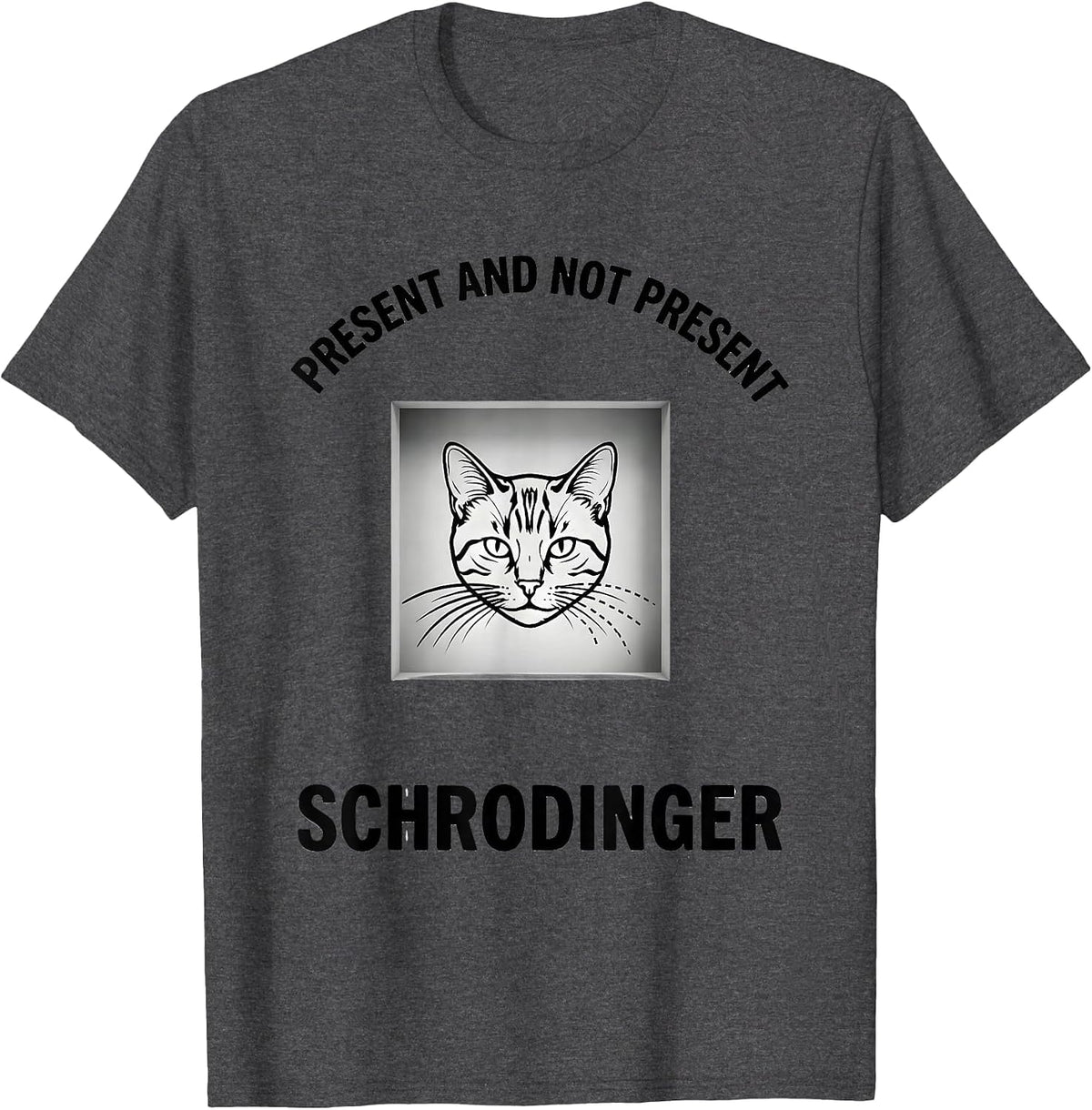 Men's Present And Not Present, Schrödinger Funny Quantum Physics T-Shirt - Dark Heather Grey