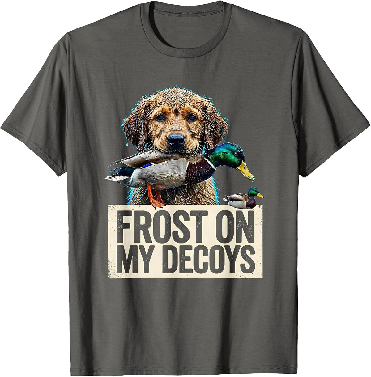 Frost On My Decoys Streetwear Local Boy Southern Duck T-Shirt - Asphalt Grey