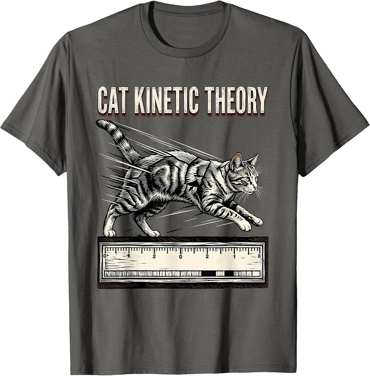 Cat Kinetic Theory Funny Cat Science Teacher Gift T-Shirt - Asphalt Grey