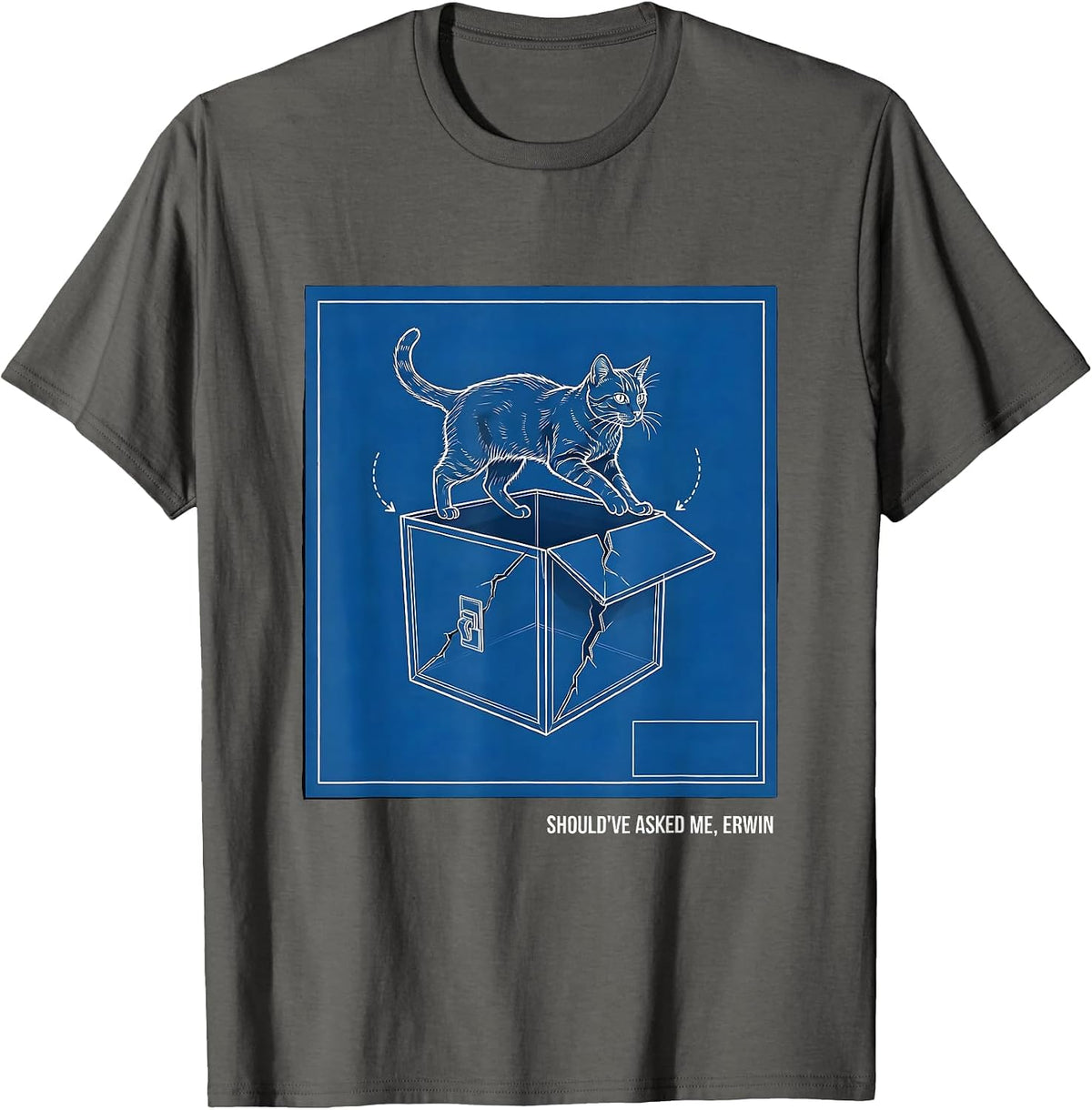 Should've Asked Me Erwin Technical Blueprint Quantum Physics T-Shirt - Asphalt Grey