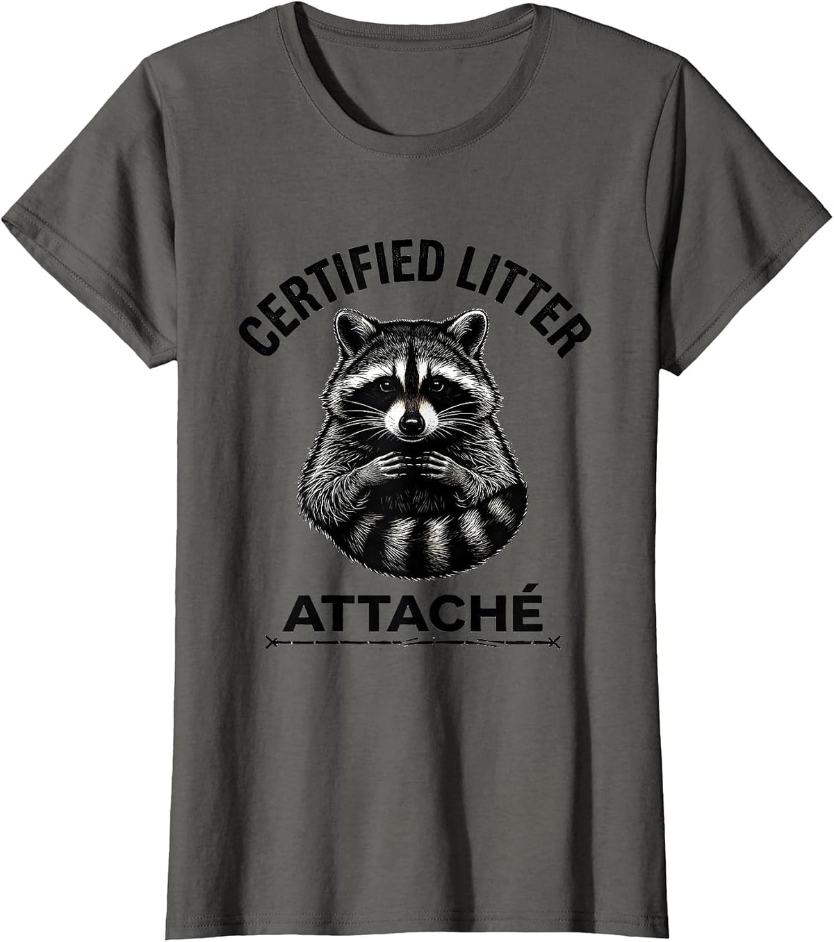 Women's Certified Litter Attaché Funny Raccoon Trash Panda Absurdist T-Shirt - Asphalt Grey