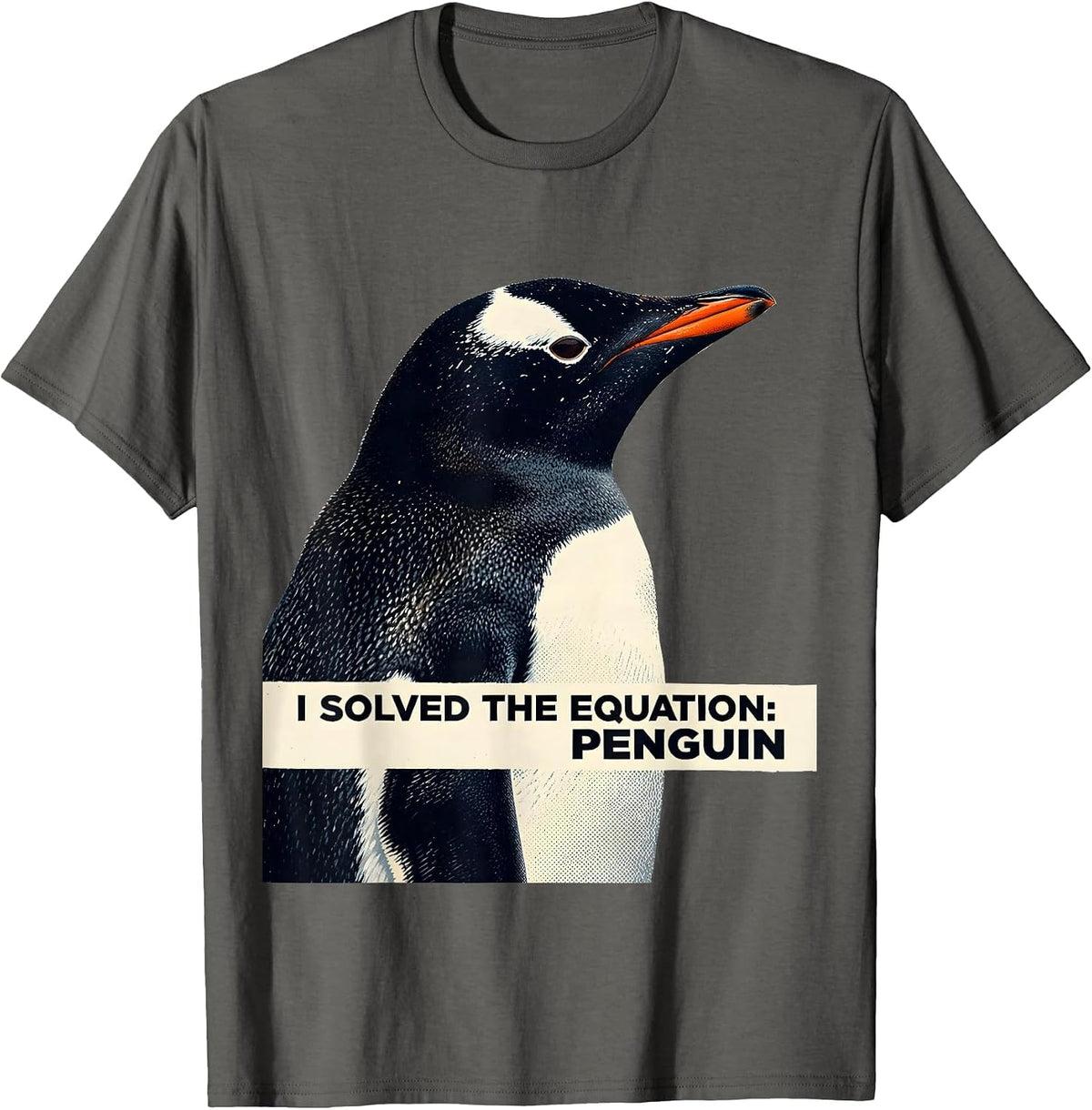 Men's I Solved The Equation Penguin Funny Penguin Lover Gift T-Shirt - Asphalt Grey