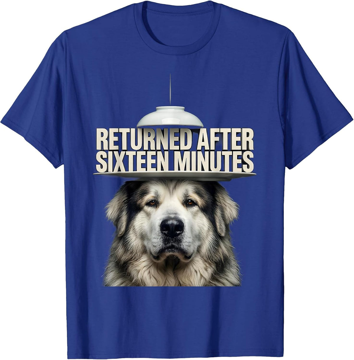 Returned After Sixteen Minutes Funny Great Pyrenees Dog UFO T-Shirt - Royal Blue