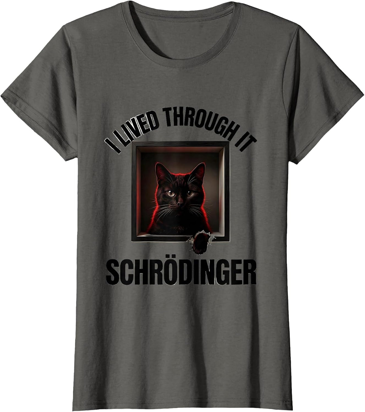 Women's I Lived Through It Schrödinger Funny Quantum Physics Science T-Shirt - Asphalt Grey