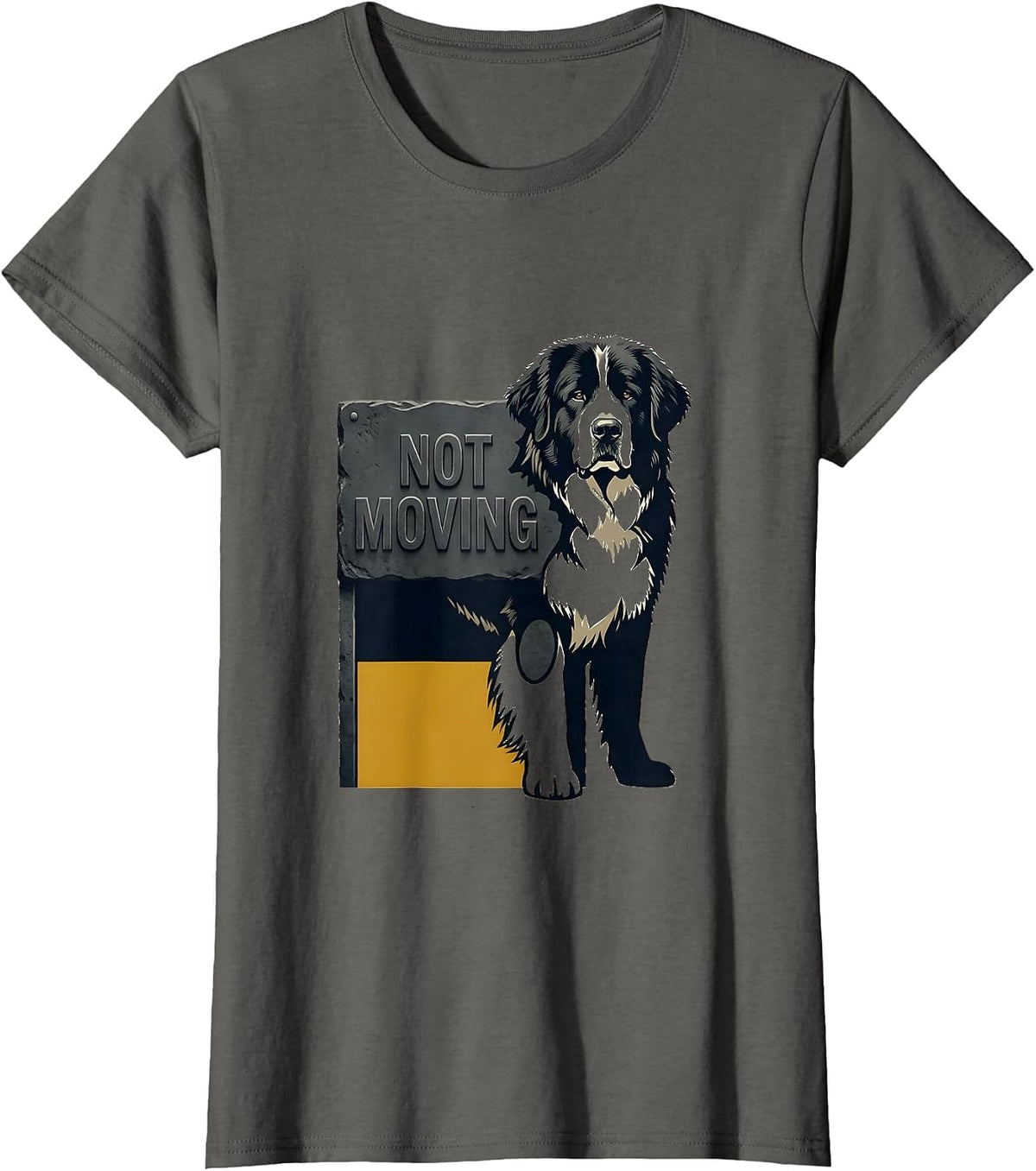 Women's Not Moving Funny Great Pyrenees Dog Owner Breed Humor T-Shirt - Asphalt Grey