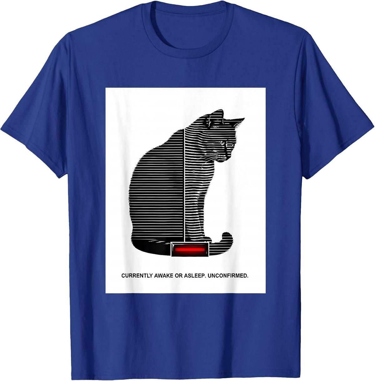 Men's Currently Awake Or Asleep Unconfirmed Quantum Physics Humor T-Shirt - Royal Blue