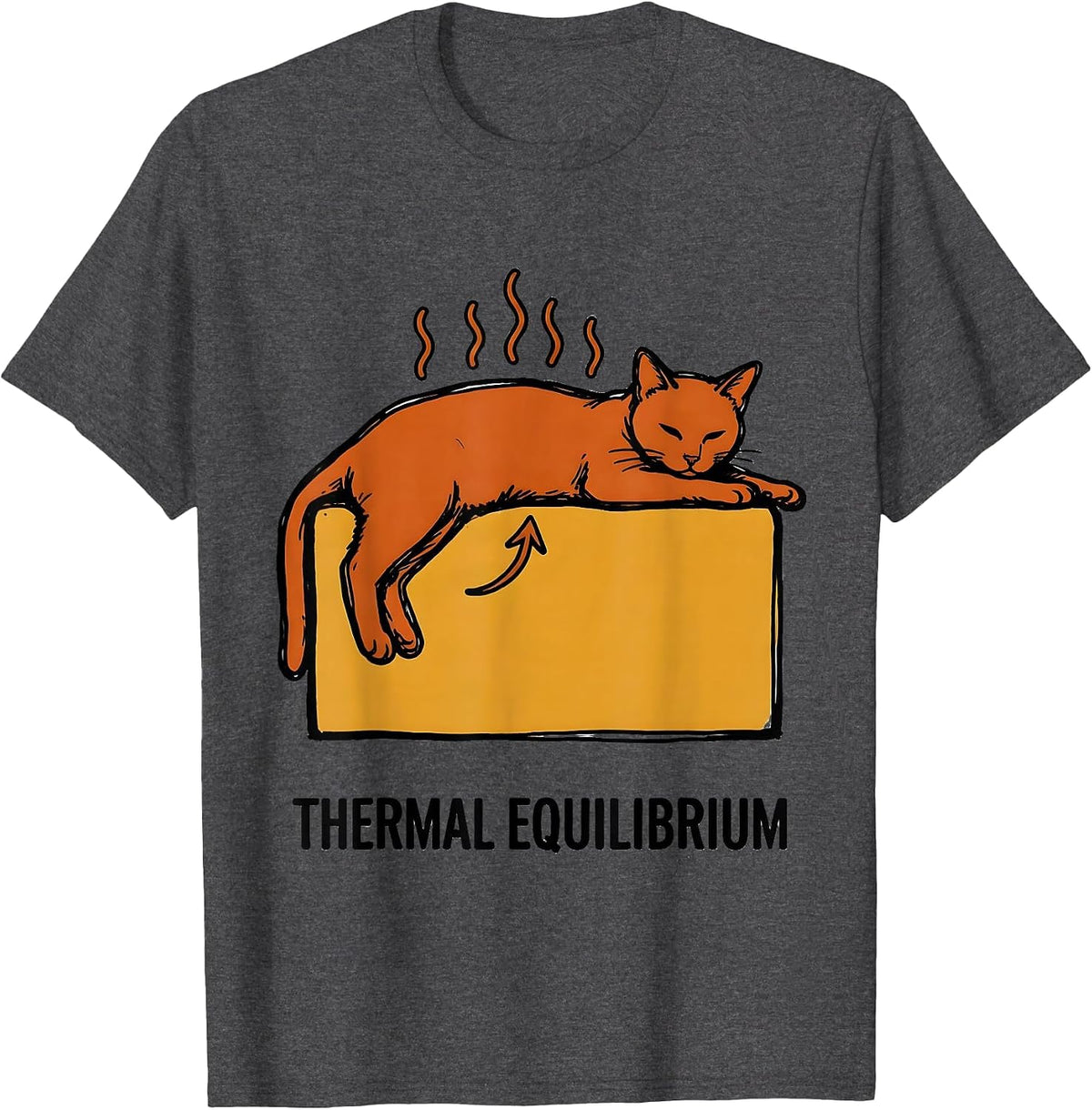 Men's Thermal Equilibrium Funny Science Cat Teacher Student Math T-Shirt - Dark Heather Grey