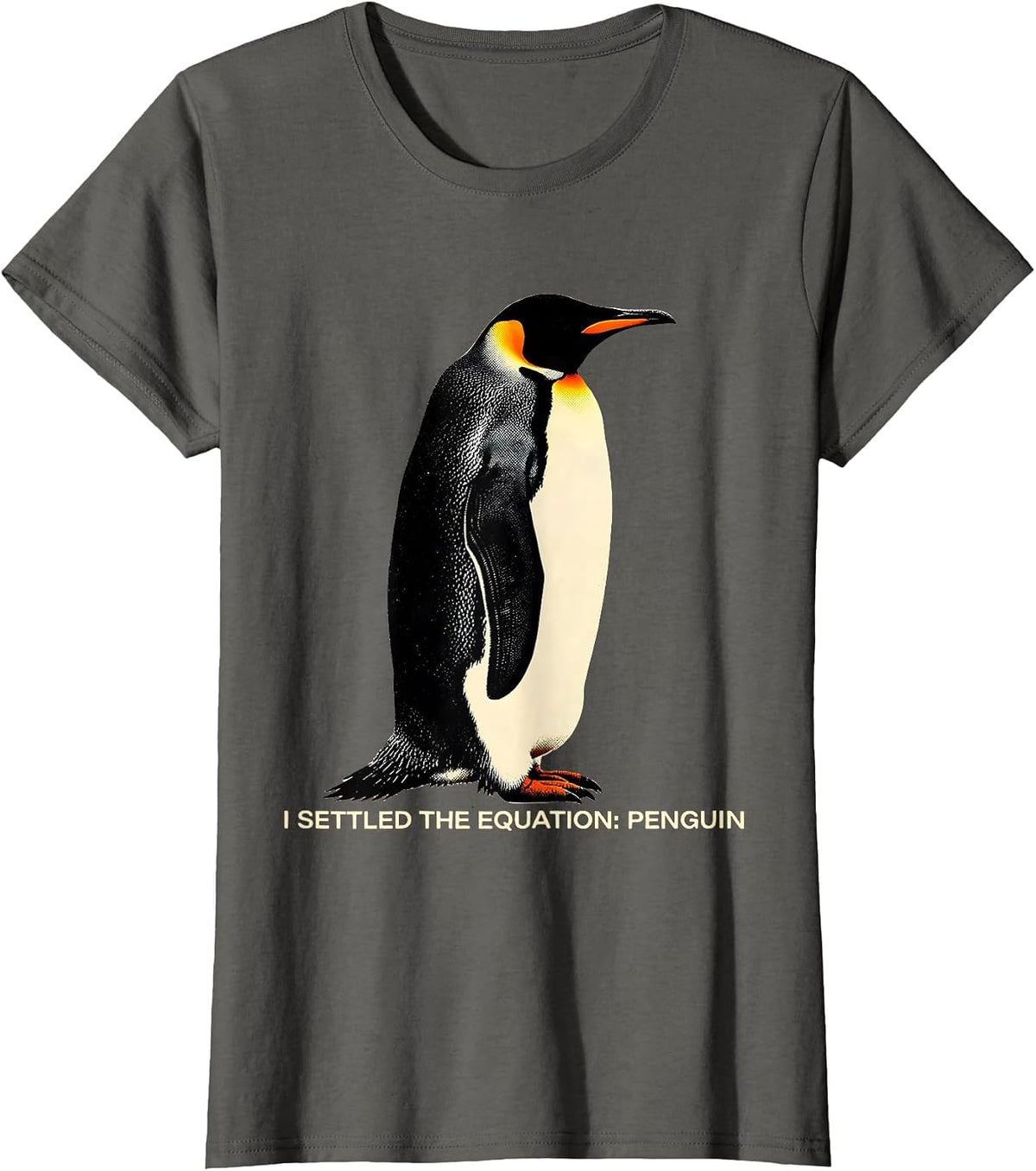 Women's I Settled The Equation Penguin Funny Penguin Lover Humor T-Shirt - Asphalt Grey