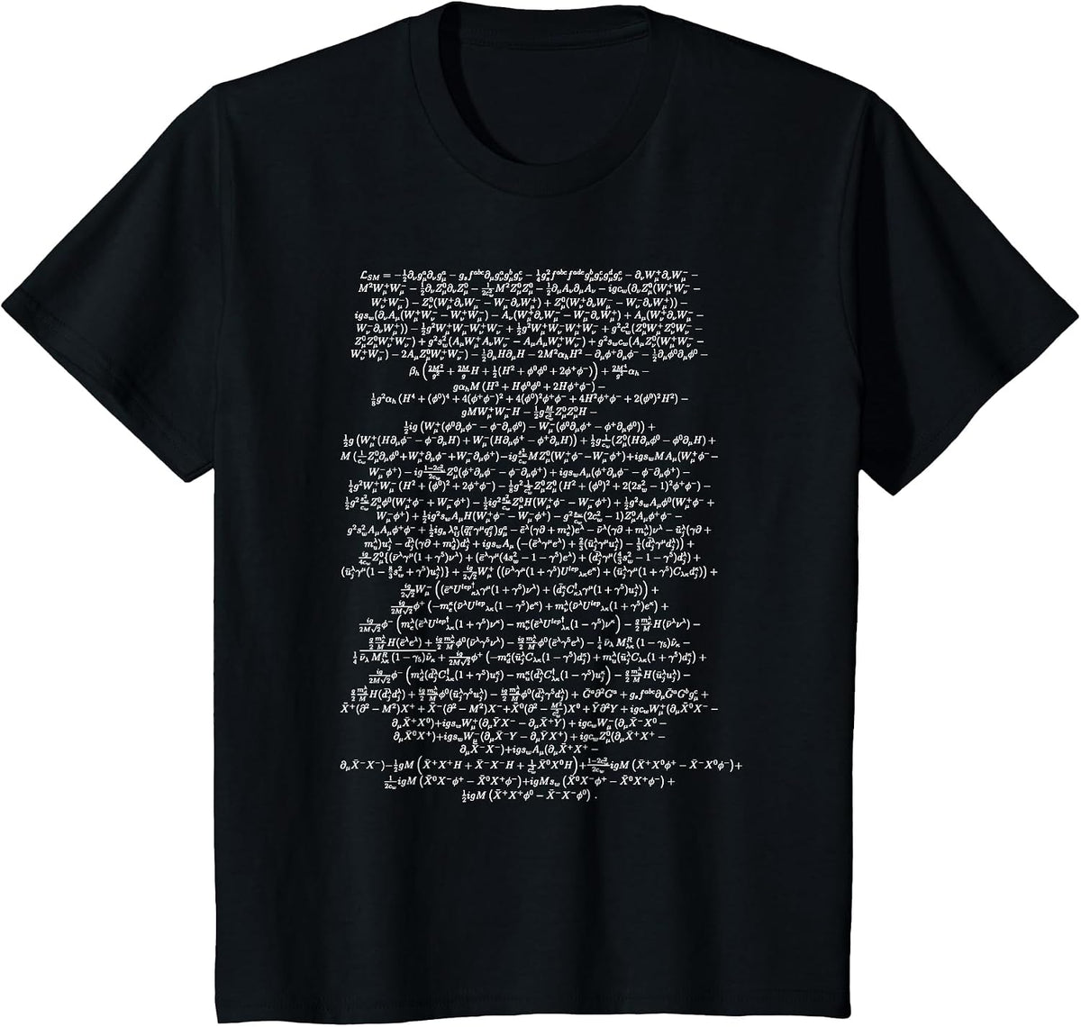 Standard Model Lagrangian Higgs Boson Physics Teacher T-Shirt - Black