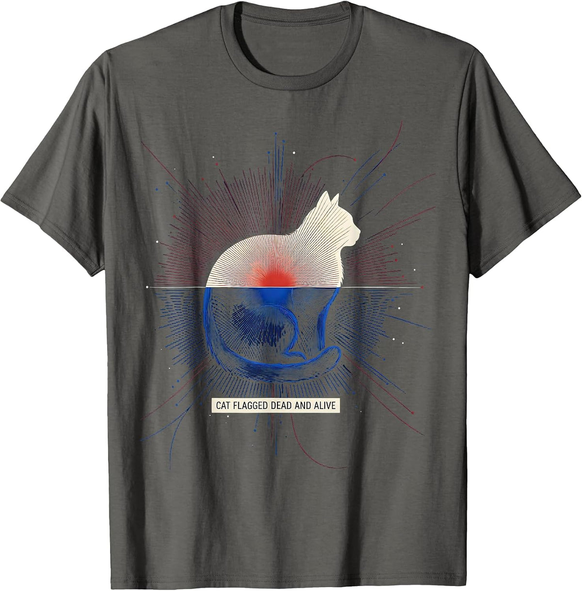 Men's Cat Flagged Dead And Alive Quantum Physics Humor Science T-Shirt - Asphalt Grey