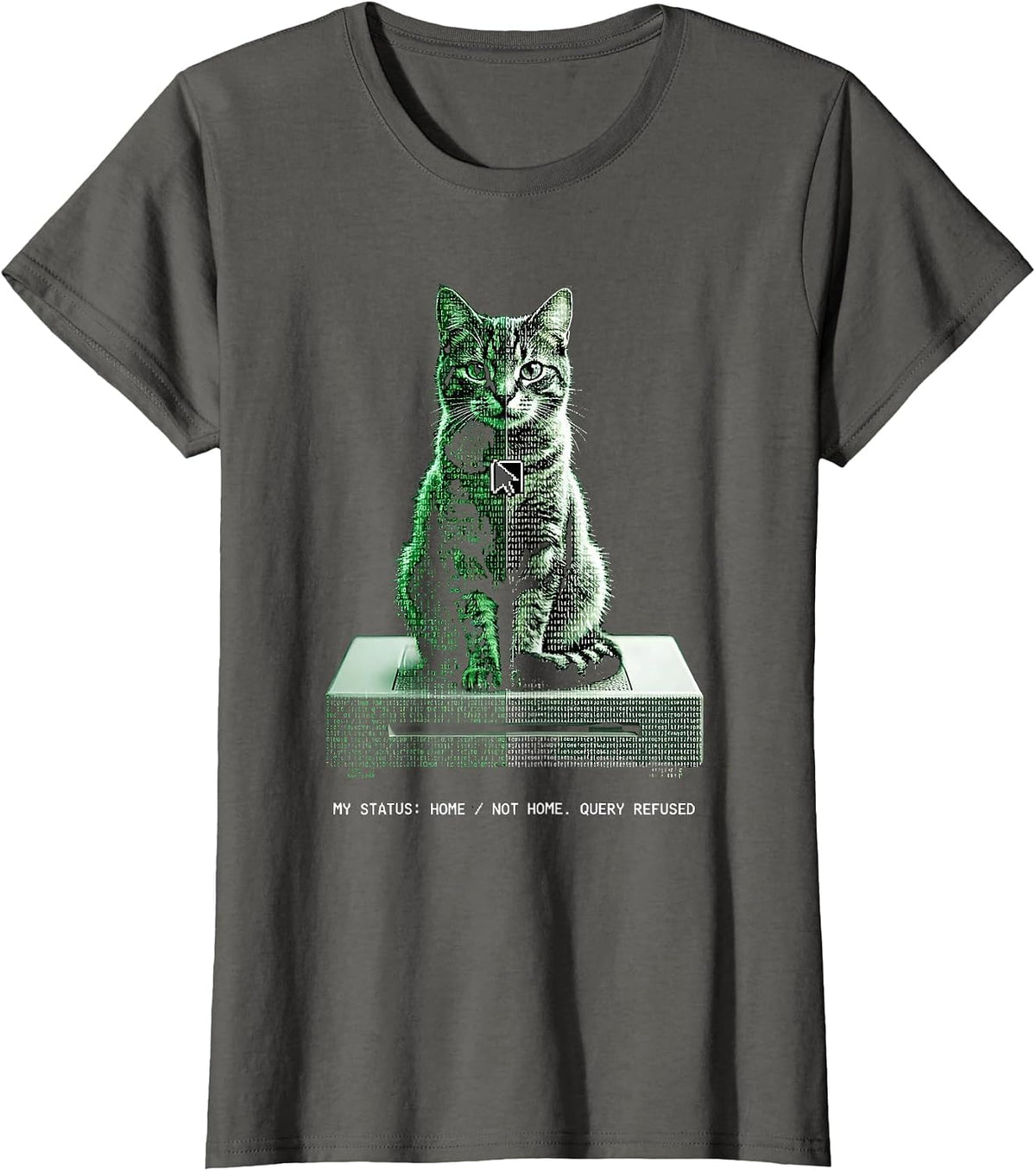 Women's MY STATUS: HOME / NOT HOME. QUERY REFUSED Quantum Physics T-Shirt - Asphalt Grey