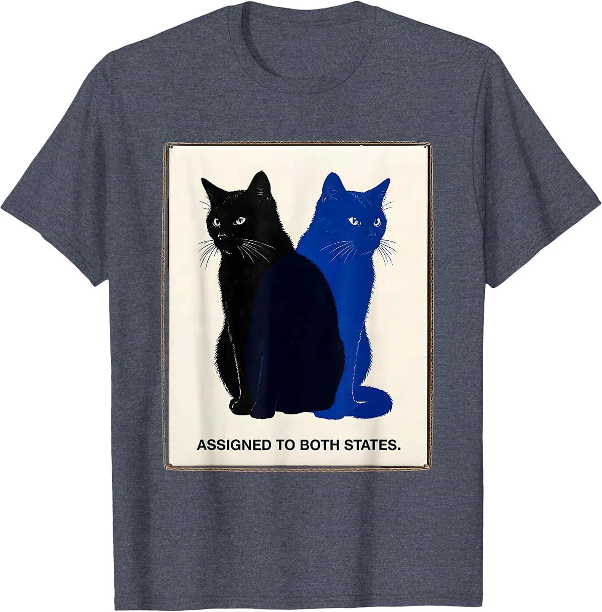 Assigned To Both States Quantum Physics Cat Nerd Humor T-Shirt - Heather Blue