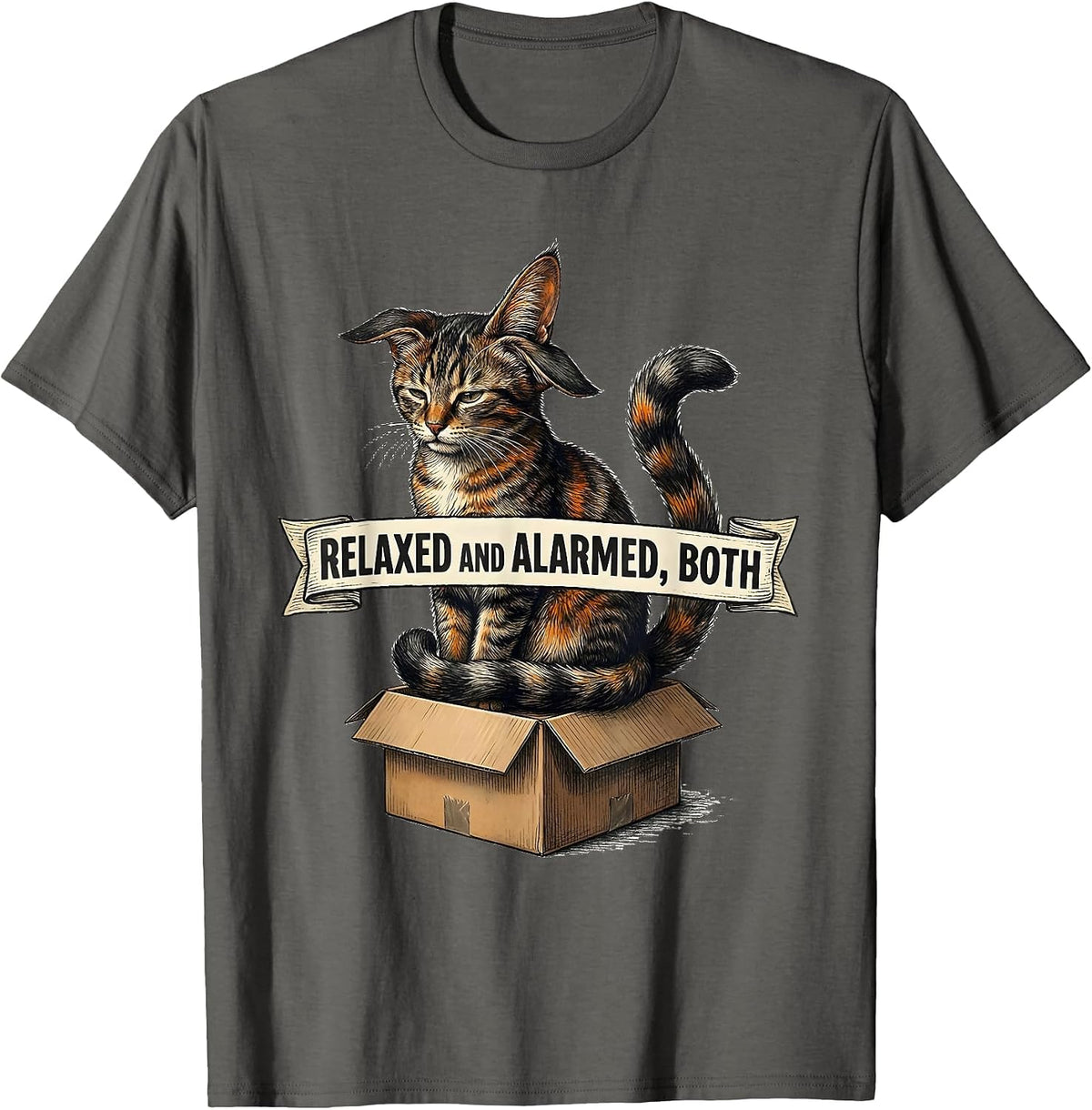 Relaxed And Alarmed Both Quantum Physics Cat Humor Science T-Shirt - Asphalt Grey