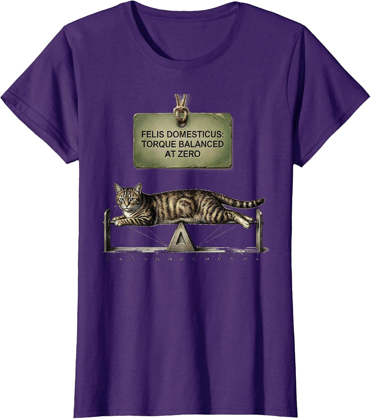 Women's Felis Domesticus: Torque Balanced At Zero Math Teacher T-Shirt - Purple