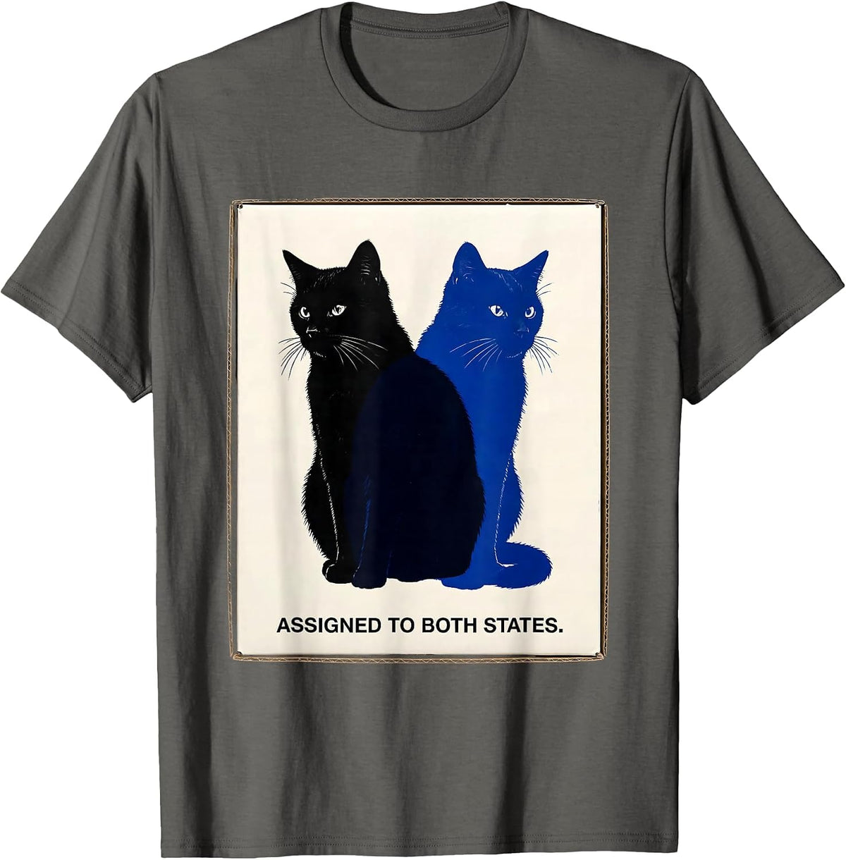 Assigned To Both States Quantum Physics Cat Nerd Humor T-Shirt - Asphalt Grey