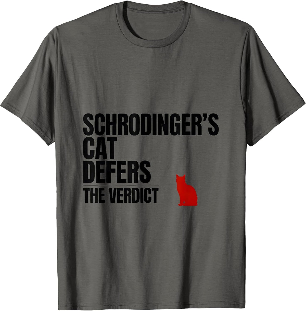 Schrodinger's Cat Defers The Verdict Funny Quantum Physics T-Shirt - Asphalt Grey