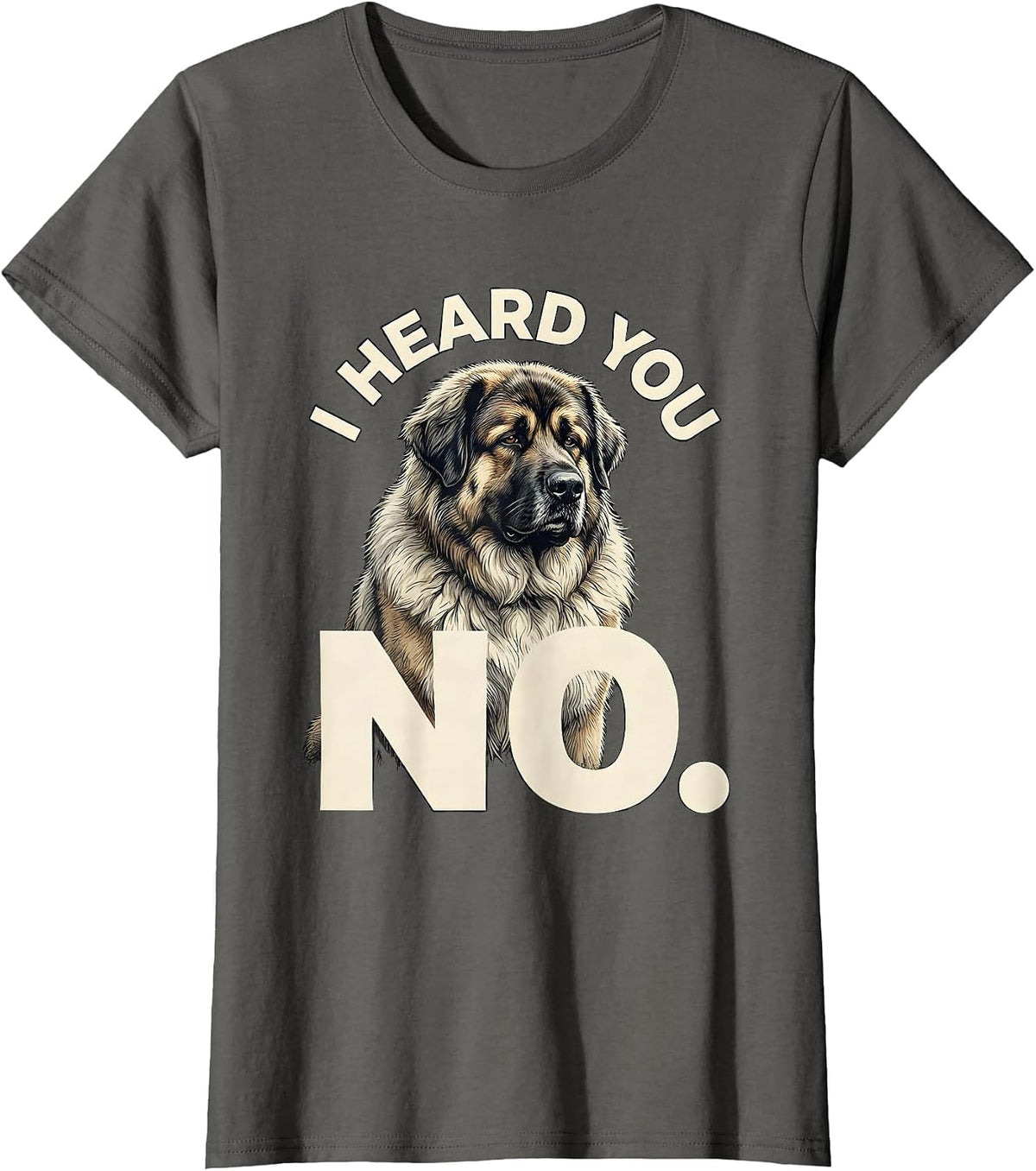 Women's I Heard You No Funny Great Pyrenees Dog Owner Humor T-Shirt - Asphalt Grey