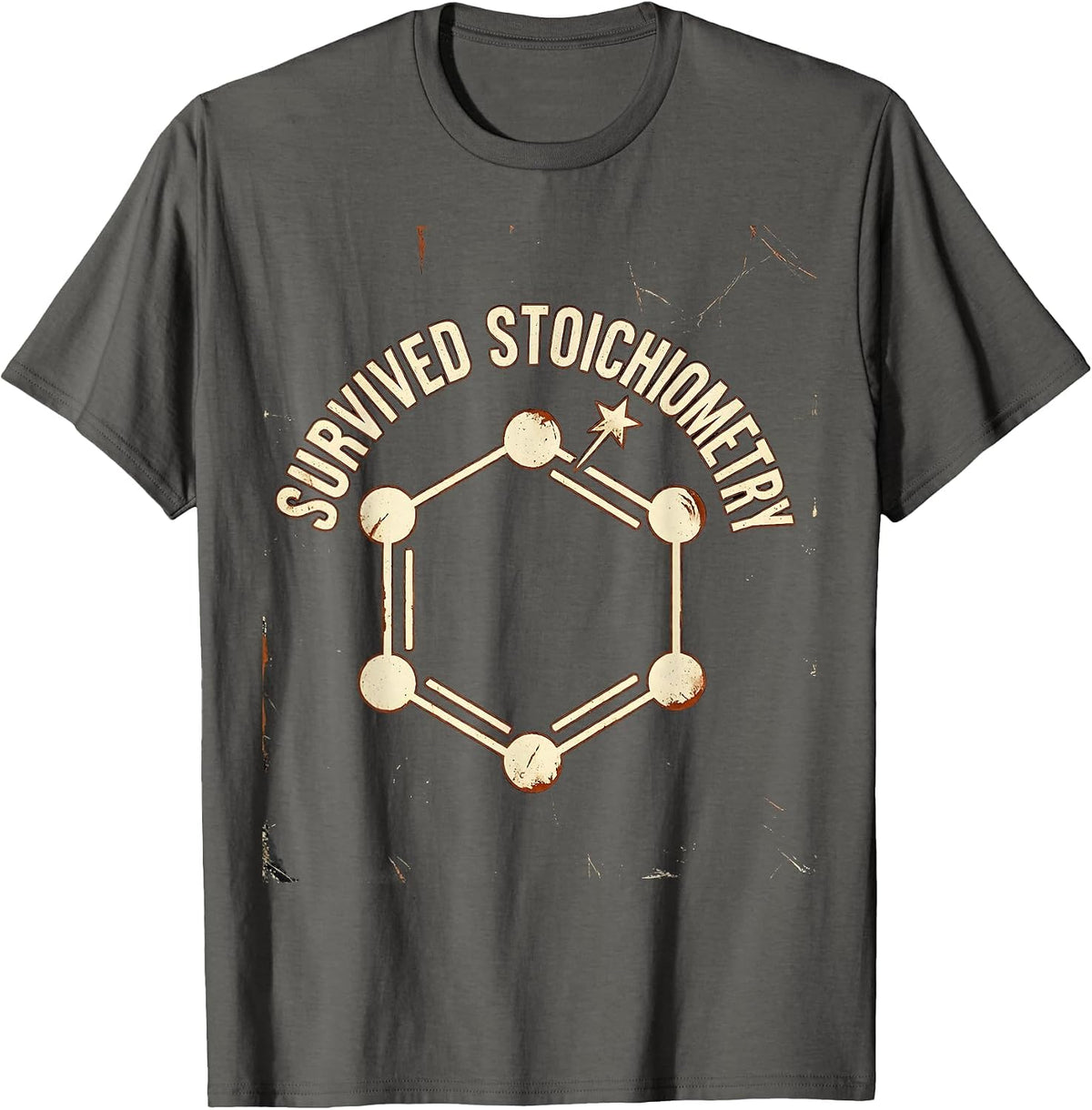 Survived Stoichiometry Distressed Science Humor Chemistry T-Shirt, Men, Asphalt Grey, Medium - As Pictured