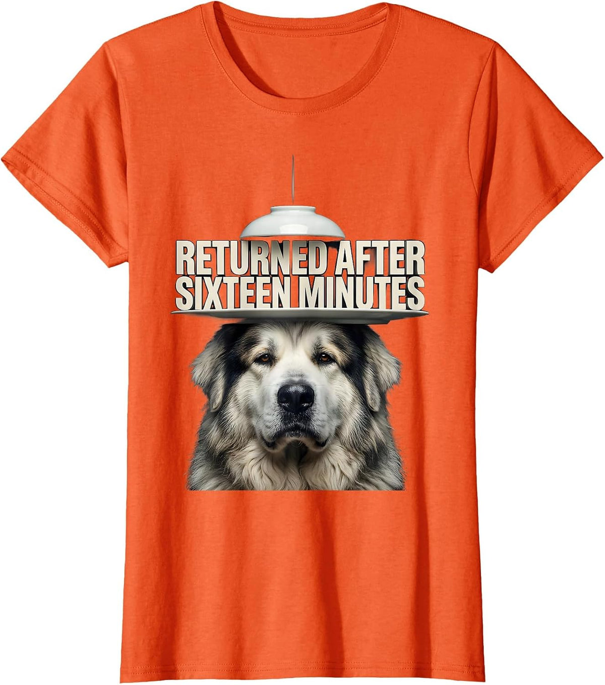 Returned After Sixteen Minutes Funny Great Pyrenees Dog UFO T-Shirt - Orange
