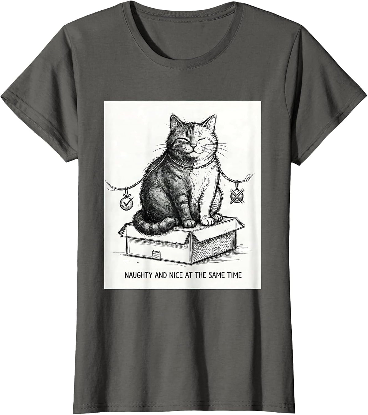 Women's Naughty And Nice At The Same Time Quantum Physics Cat Humor T-Shirt - Asphalt Grey
