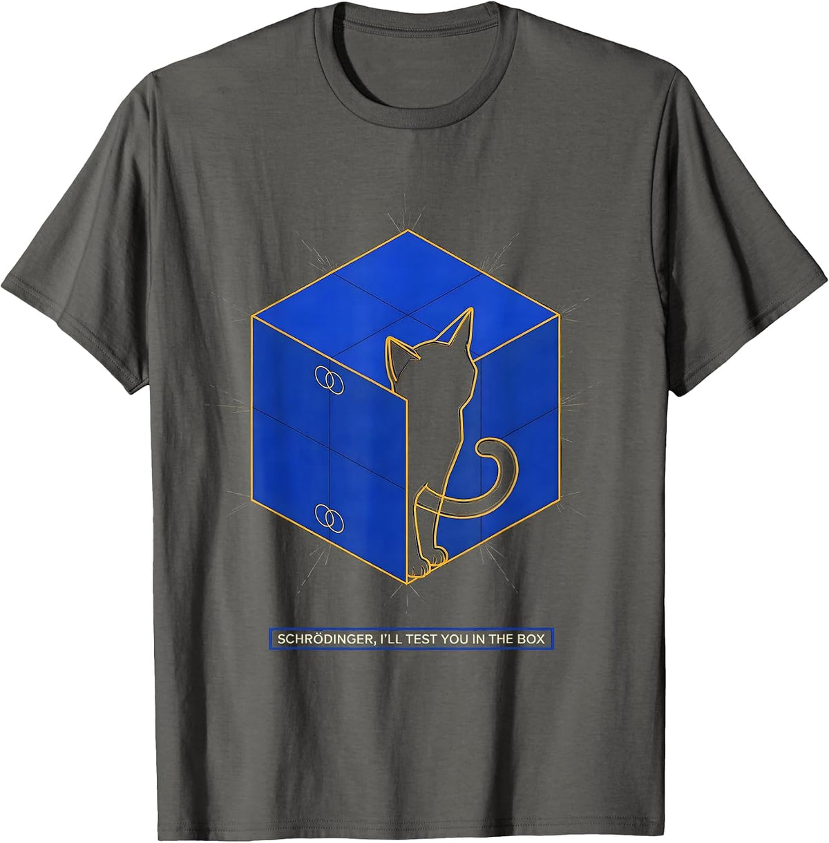 Schrödinger, I’ll Test You in the Box Funny Science Teacher T-Shirt - Asphalt Grey