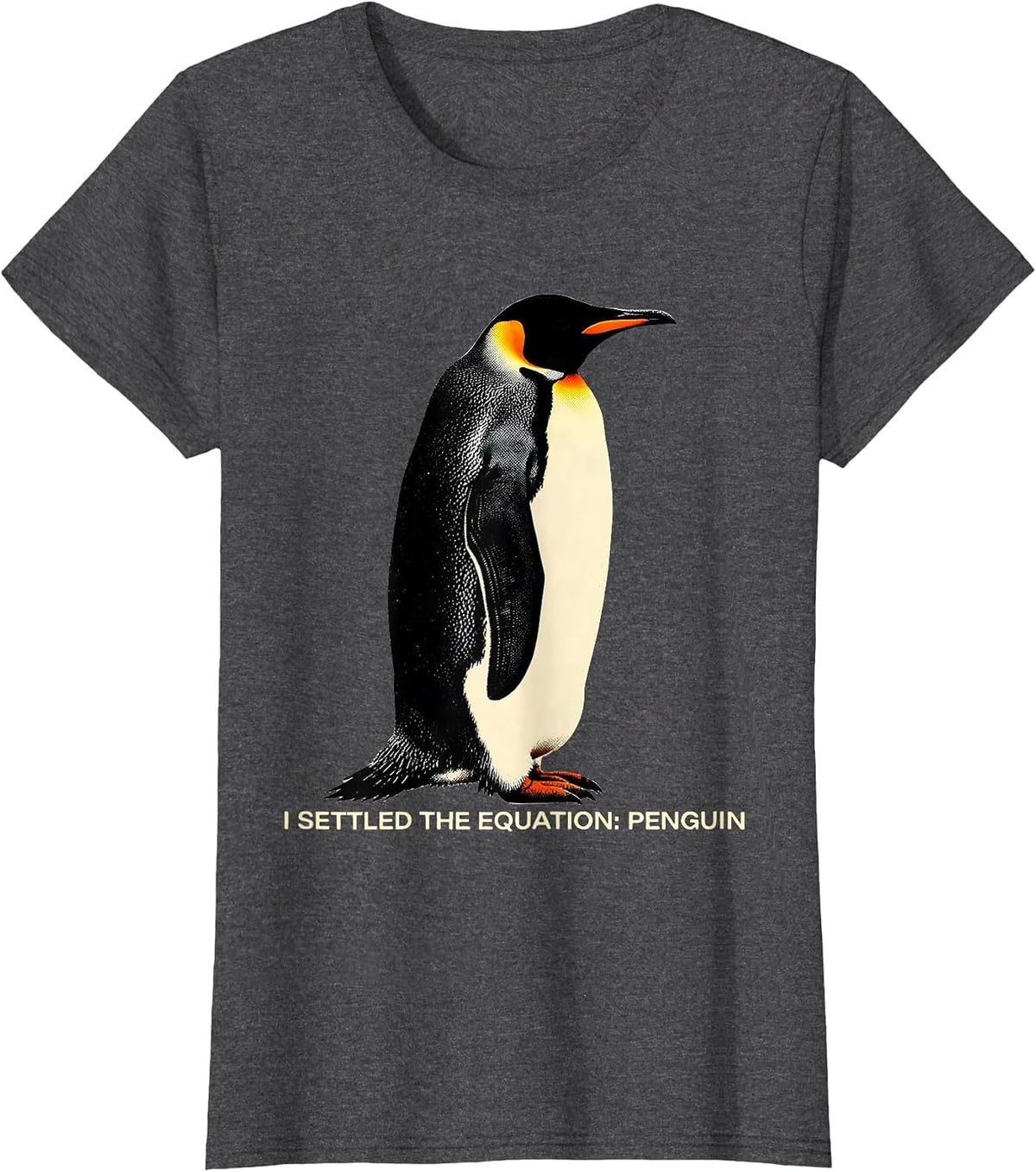 Women's I Settled The Equation Penguin Funny Penguin Lover Humor T-Shirt - Dark Heather Grey