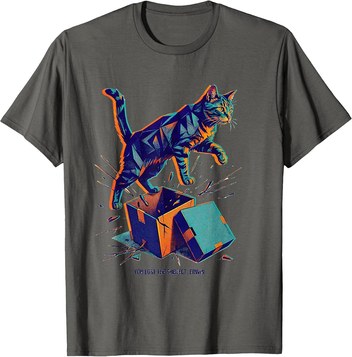 You Lost the Subject Erwin Funny Science Teacher Quantum T-Shirt - Asphalt Grey