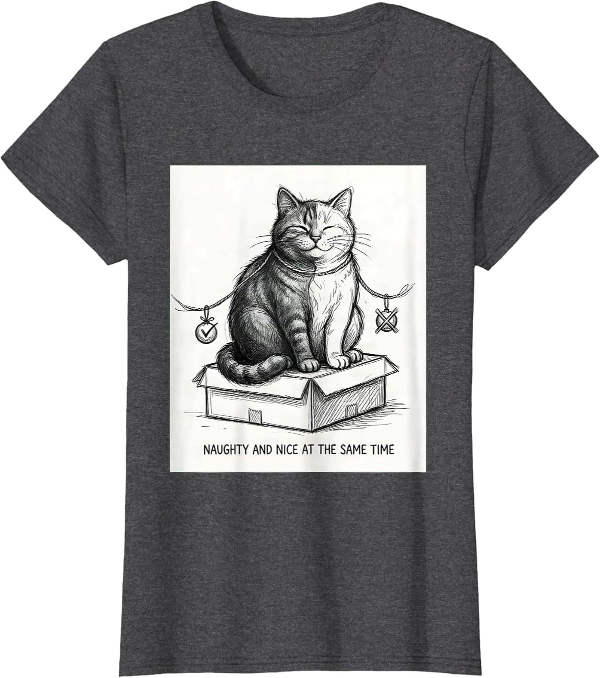 Women's Naughty And Nice At The Same Time Quantum Physics Cat Humor T-Shirt - Dark Heather Grey